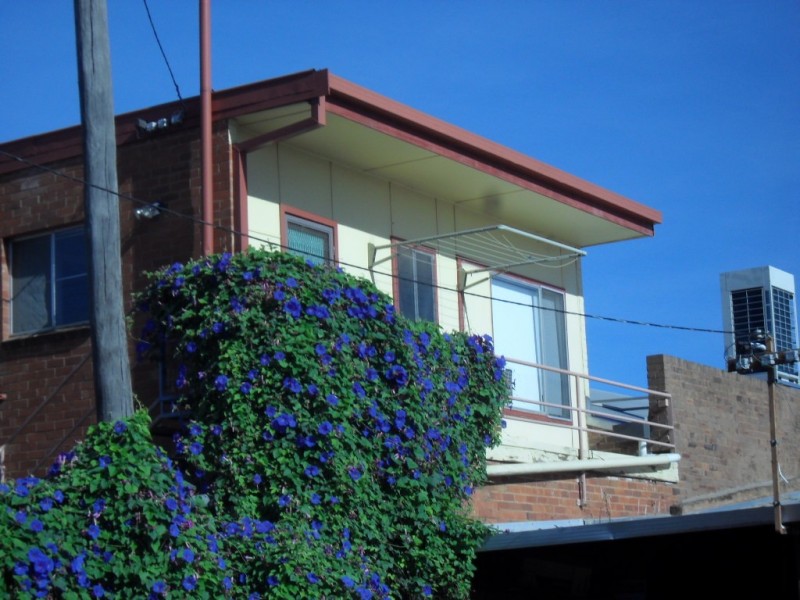 REAR/66 Pine Avenue, Leeton NSW 2705