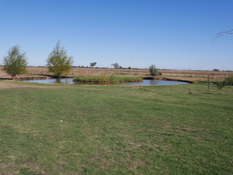 323 Koonadan Road, Leeton NSW 2705