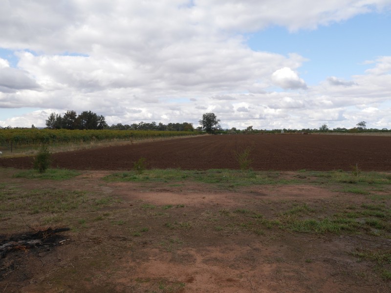 204 Vance Road, Leeton NSW 2705