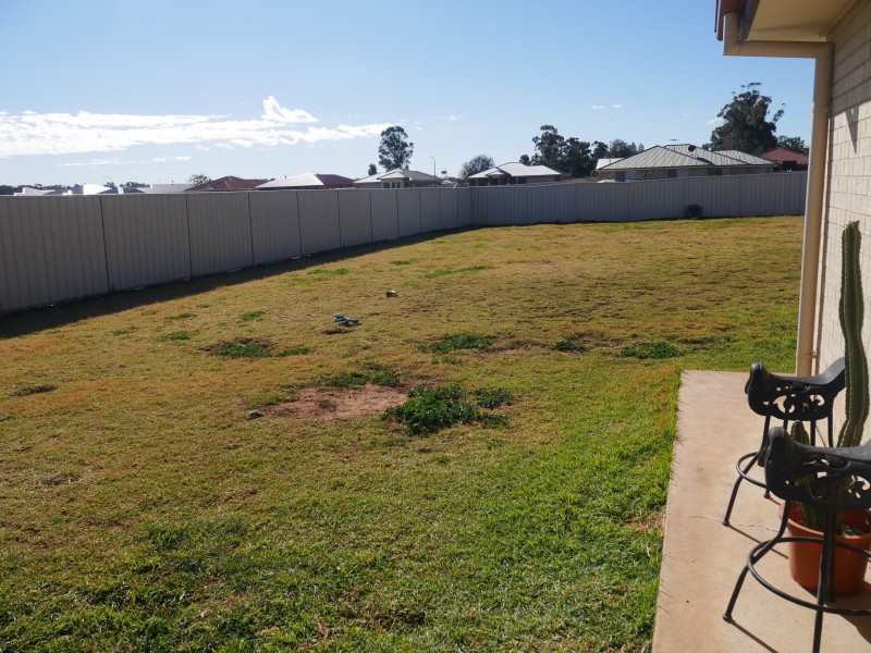 27 Lake Paddock Drive, Leeton NSW 2705