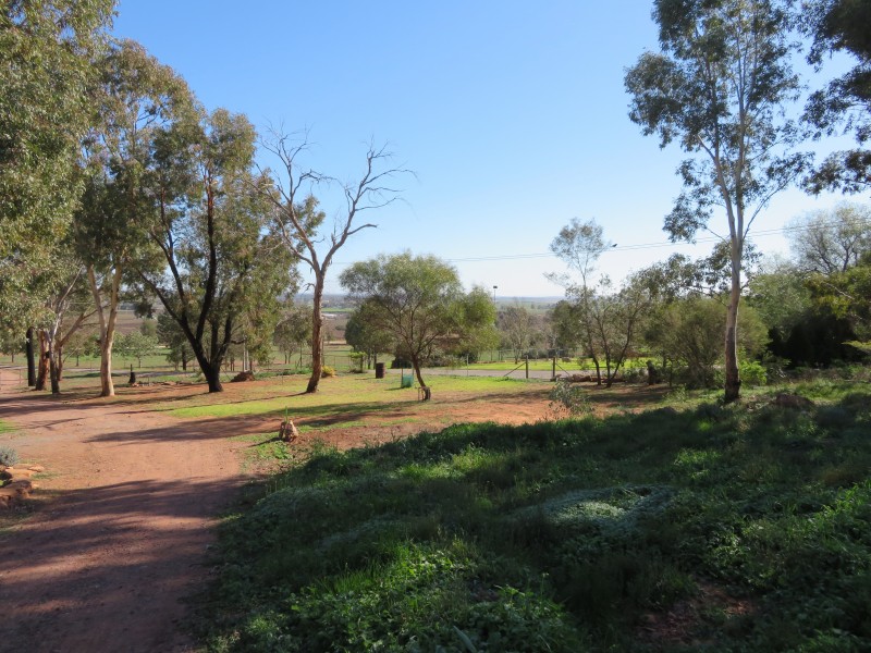 91 Deveril Road, Leeton NSW 2705