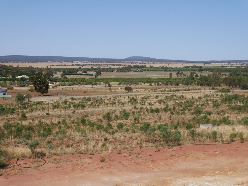 9 Qualitary Road, Merungle Hill NSW 2705