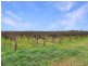 128 Toorak Road, Leeton NSW 2705