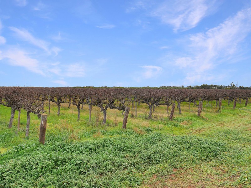 128 Toorak Road, Leeton NSW 2705