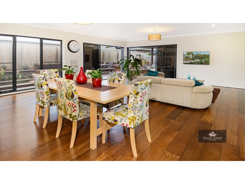 8 Ellenborough Avenue, Ormeau Hills QLD 4208