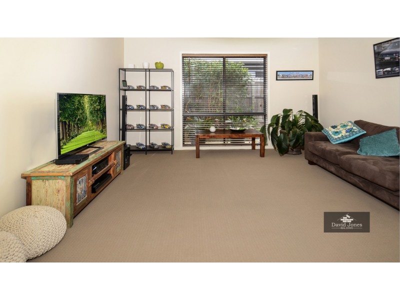 8 Ellenborough Avenue, Ormeau Hills QLD 4208