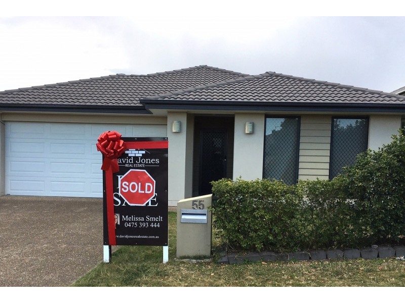 55 Ridgevale Boulevard, Holmview QLD 4207