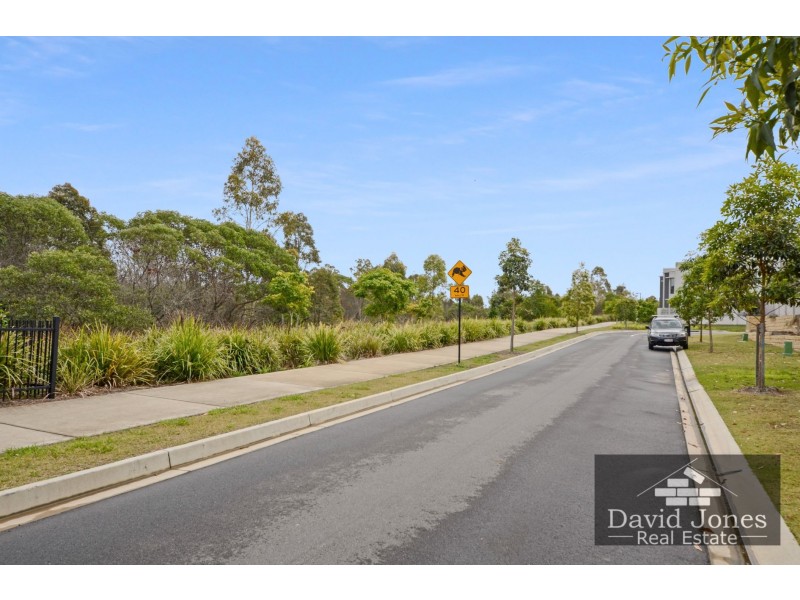 55 Finch Parade, Rochedale QLD 4123
