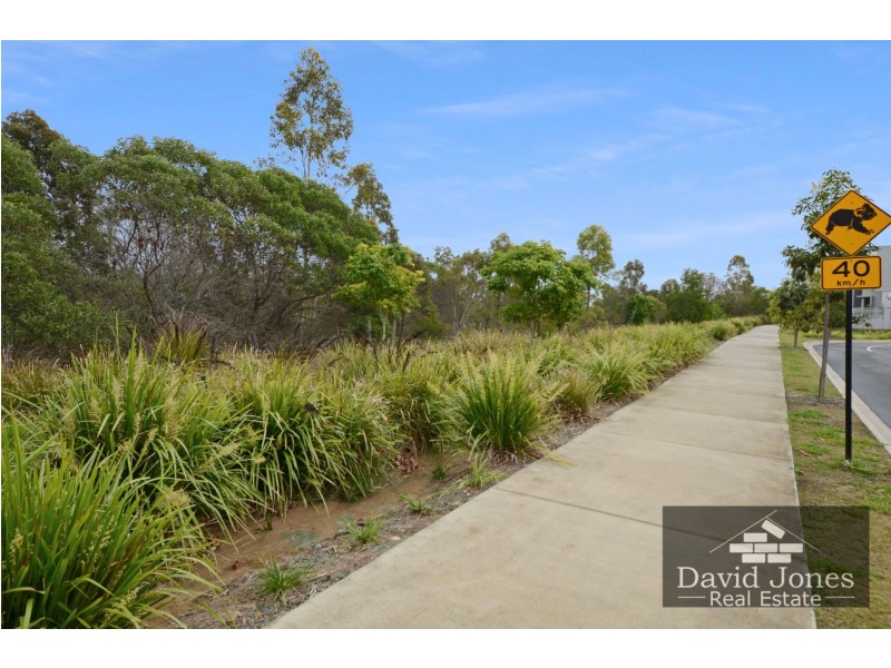 55 Finch Parade, Rochedale QLD 4123