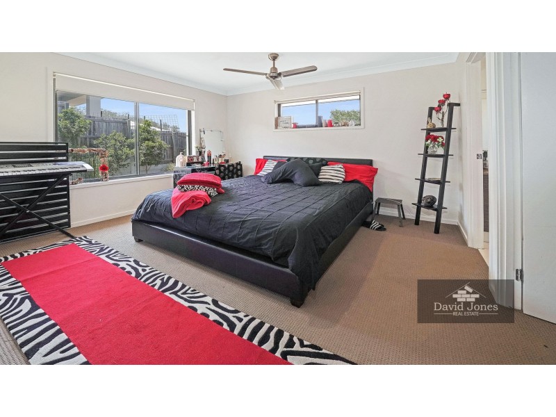 19 Nova Street, Waterford QLD 4133