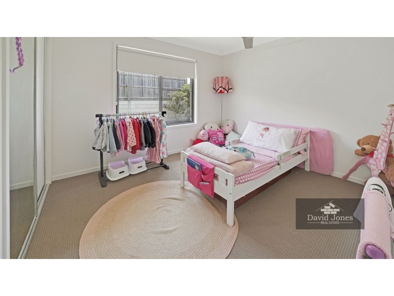 19 Nova Street, Waterford QLD 4133