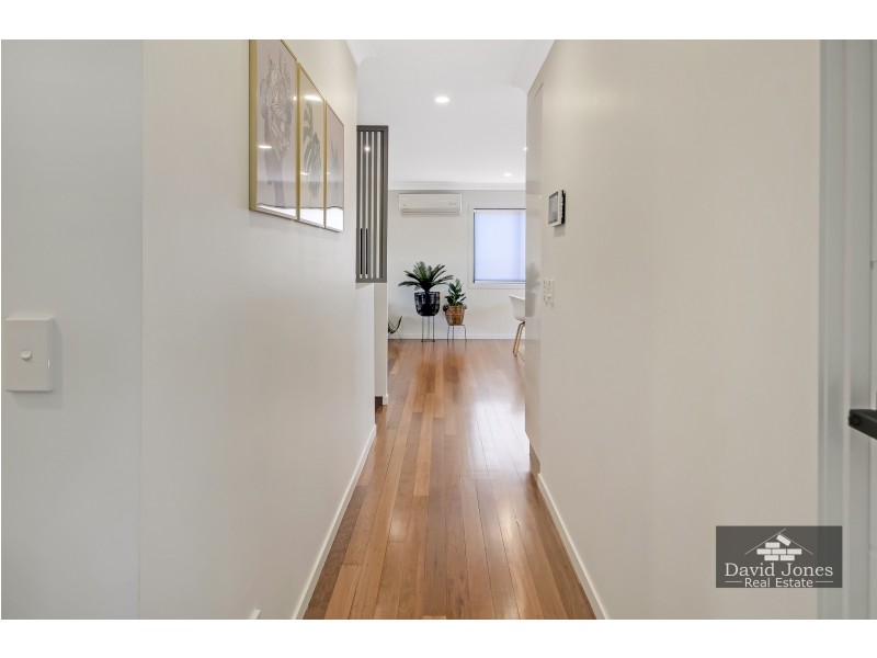 36 Luprena Street, Mansfield QLD 4122