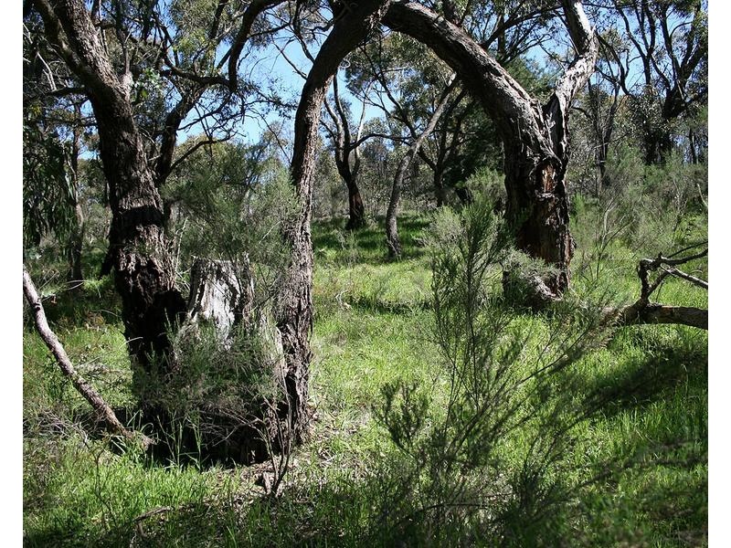 Lot 22,  Bluebell Close, Broadford VIC 3658