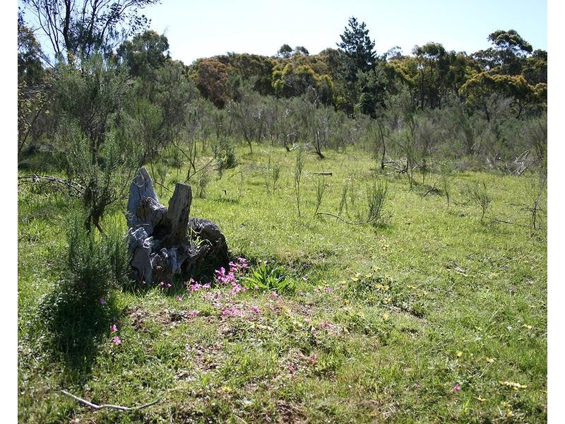 Lot 22,  Bluebell Close, Broadford VIC 3658