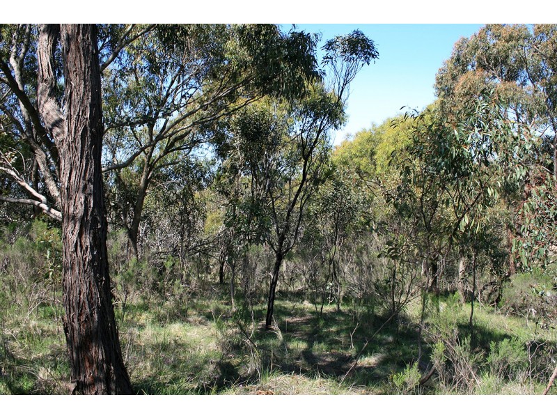 lot 5 Goodenia Court, Broadford VIC 3658