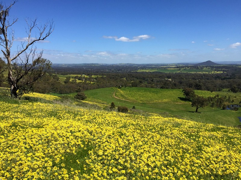 lot 5 Goodenia Court, Broadford VIC 3658