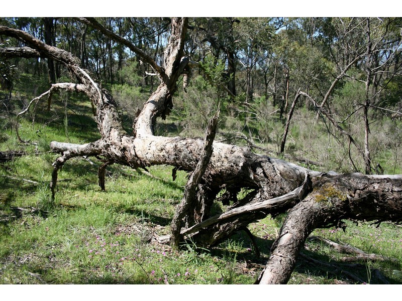 Lot 4,  Goodenia court, Broadford VIC 3658