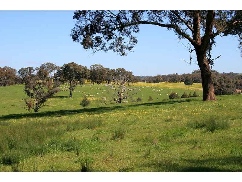 lot 21 Bluebell close, Broadford VIC 3658