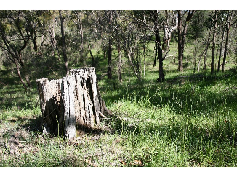 lot 21 Bluebell close, Broadford VIC 3658