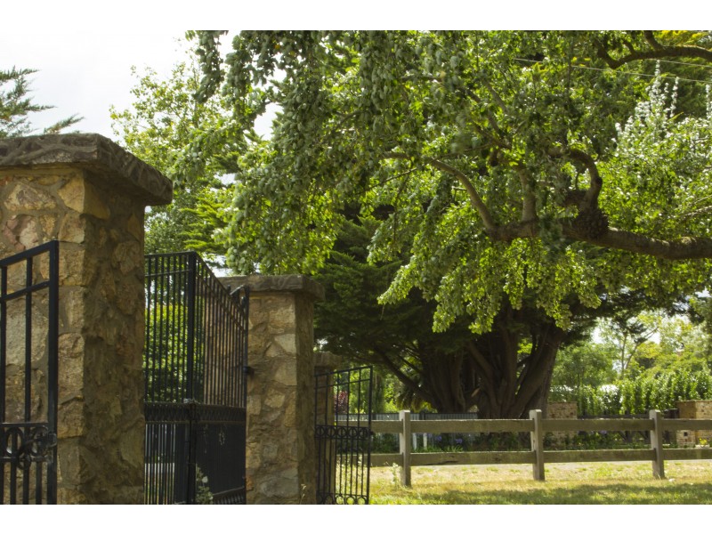 14 Lauder place, Romsey VIC 3434