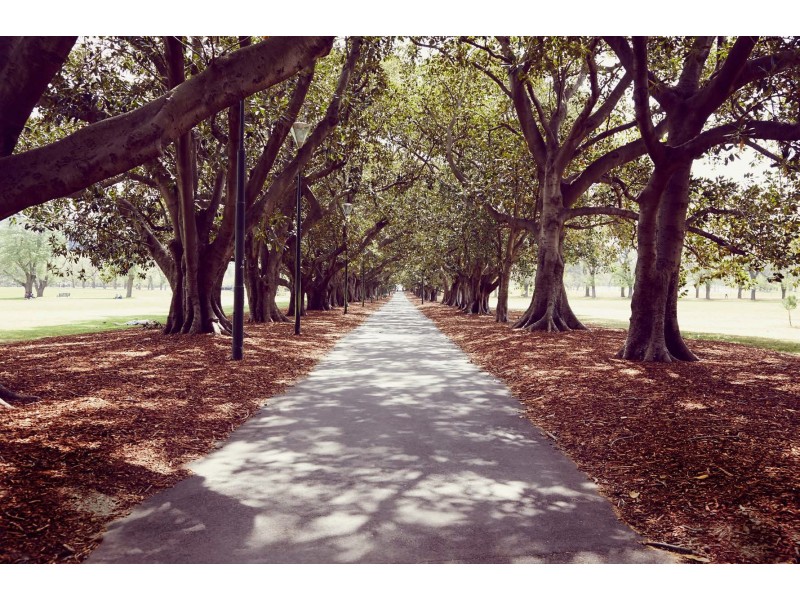 601 Saint Kilda Road, Melbourne VIC 3000