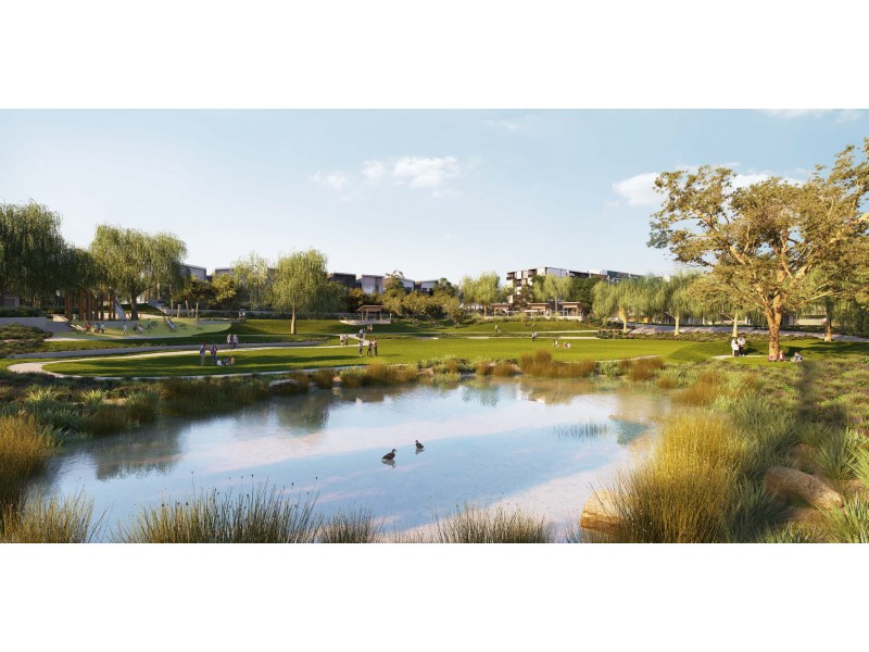 78 Middleborough Road, Burwood East VIC 3151