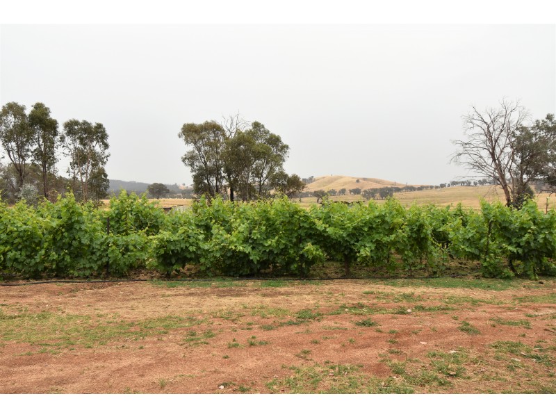 137 KOPSHOFFE LANE, Indigo Valley VIC 3688