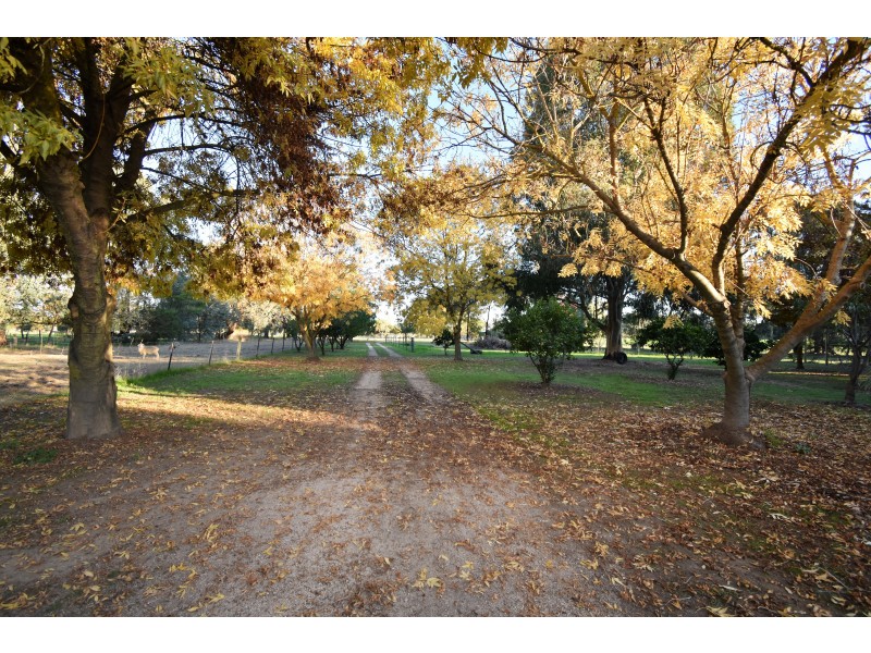 86 MARKWOOD-TARRAWINGEE ROAD, Markwood VIC 3678