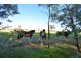 Lot 4B,  KLEMM ROAD, Tarrawingee VIC 3678