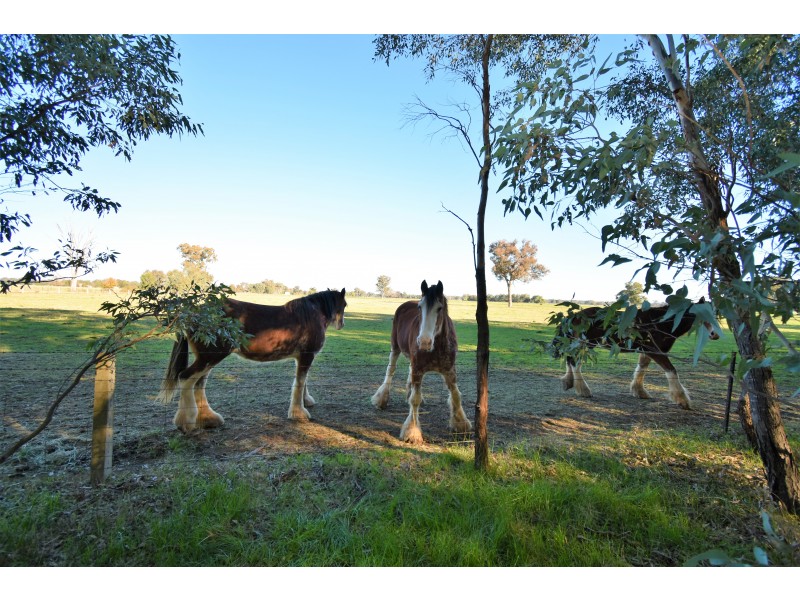 Lot 4B,  KLEMM ROAD, Tarrawingee VIC 3678
