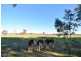 Lot 4B,  KLEMM ROAD, Tarrawingee VIC 3678
