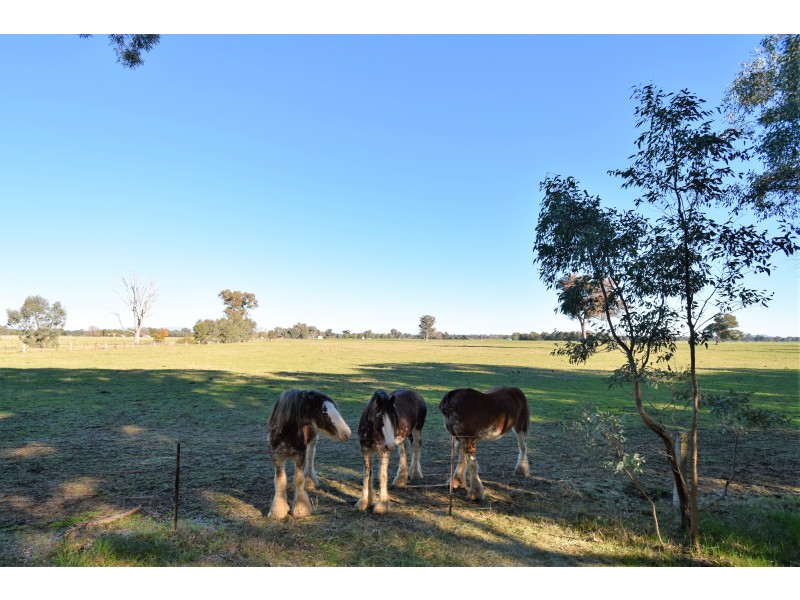 Lot 4B,  KLEMM ROAD, Tarrawingee VIC 3678