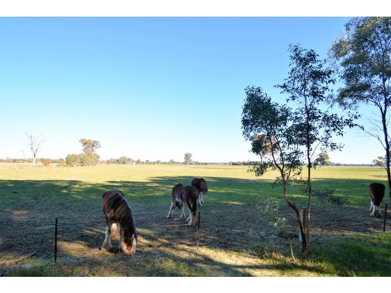Lot 4B,  KLEMM ROAD, Tarrawingee VIC 3678