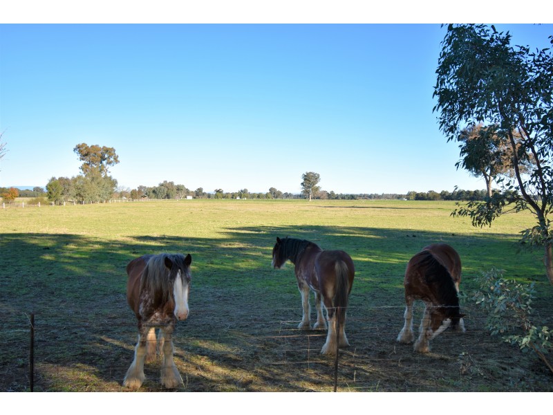 Lot 4B,  KLEMM ROAD, Tarrawingee VIC 3678