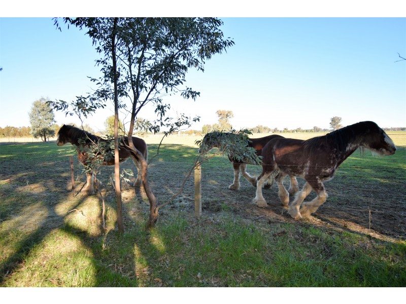 Lot 4B,  KLEMM ROAD, Tarrawingee VIC 3678