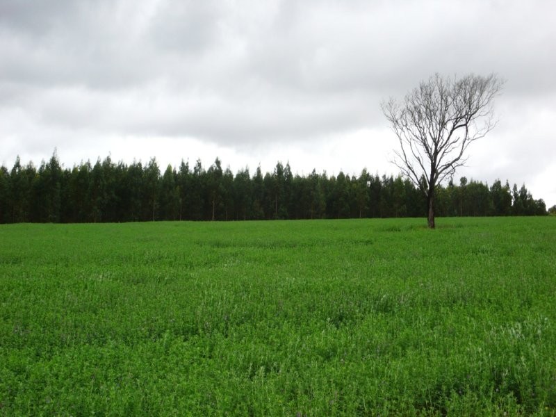 405 Deans Road, Meredith VIC 3333