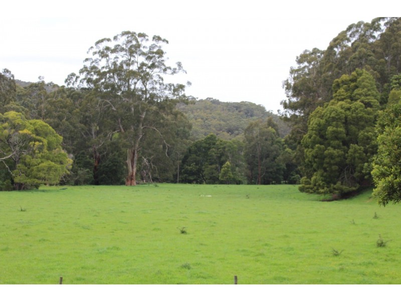 1160 Lavers Hill-Cobden Road, Chapple Vale VIC 3239