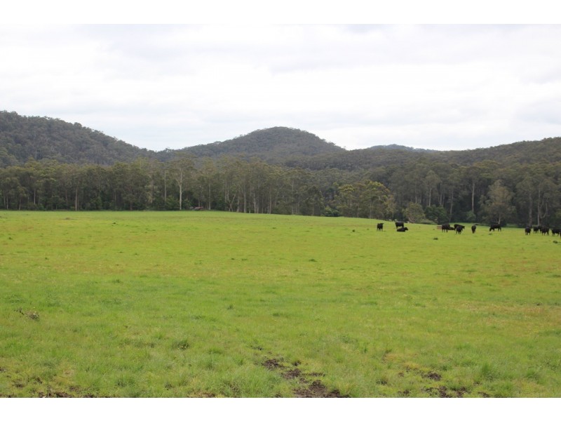 1160 Lavers Hill-Cobden Road, Chapple Vale VIC 3239
