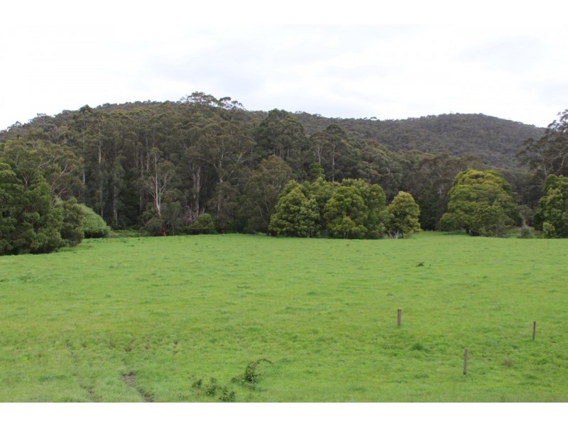 1160 Lavers Hill-Cobden Road, Chapple Vale VIC 3239