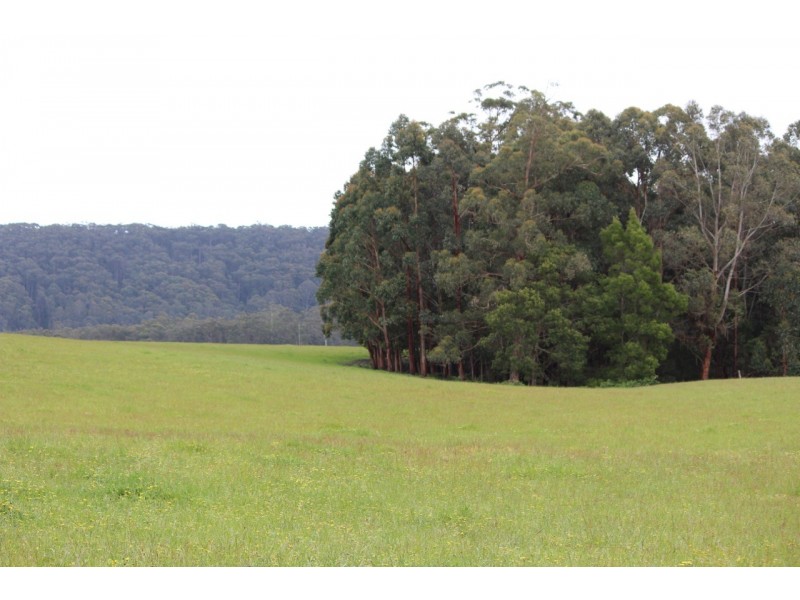 1160 Lavers Hill-Cobden Road, Chapple Vale VIC 3239
