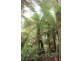 1160 Lavers Hill-Cobden Road, Chapple Vale VIC 3239