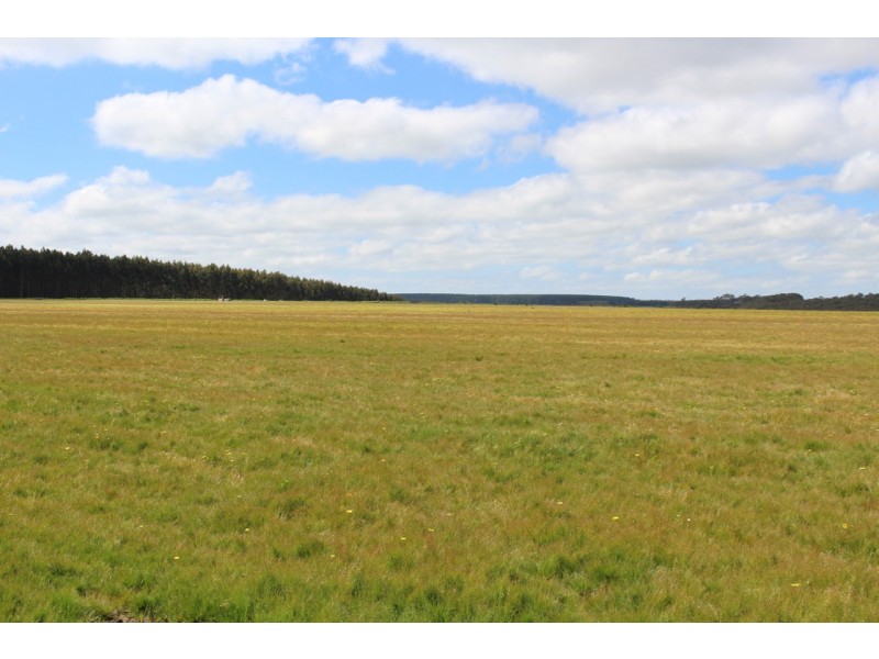 1375 Coradjil Road, Irrewillipe VIC 3249