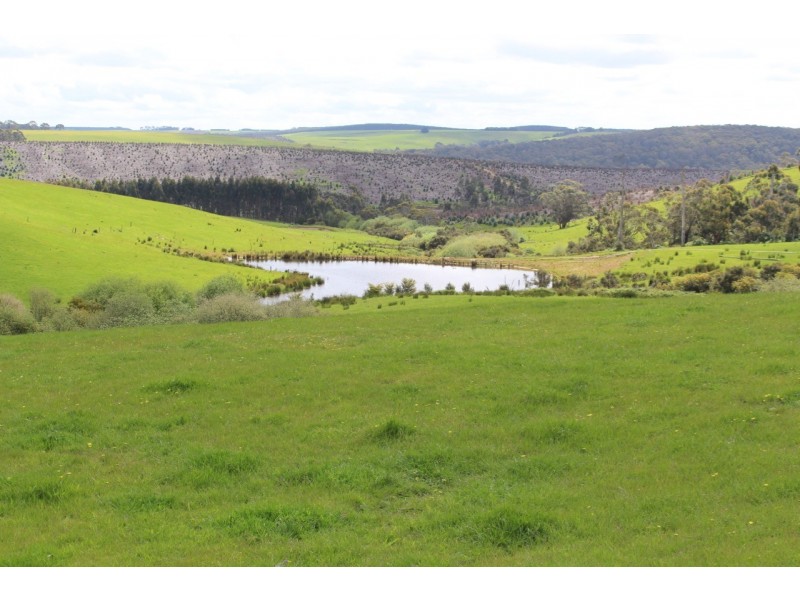 1375 Coradjil Road, Irrewillipe VIC 3249