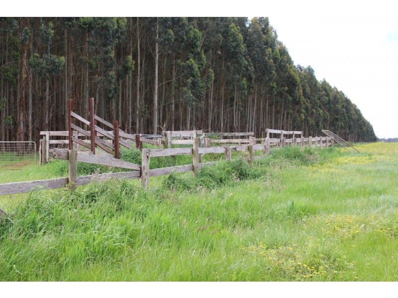 1375 Coradjil Road, Irrewillipe VIC 3249