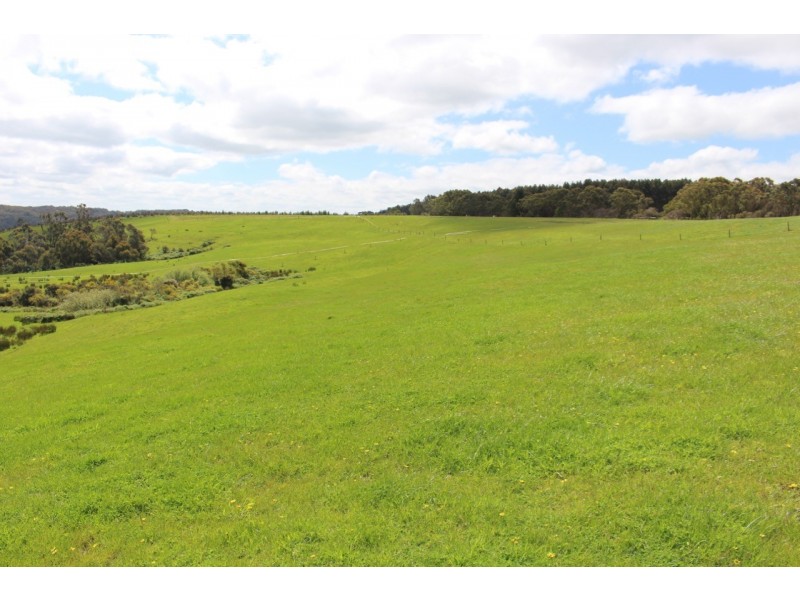 1375 Coradjil Road, Irrewillipe VIC 3249