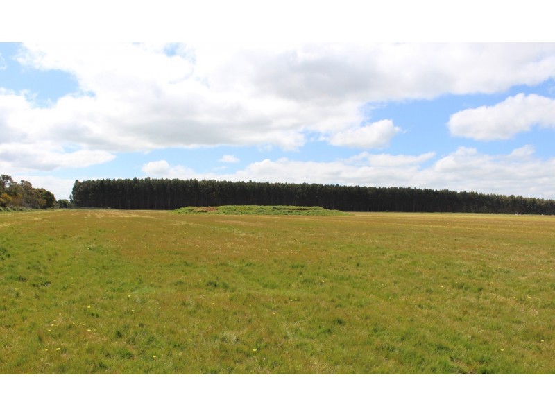 1375 Coradjil Road, Irrewillipe VIC 3249