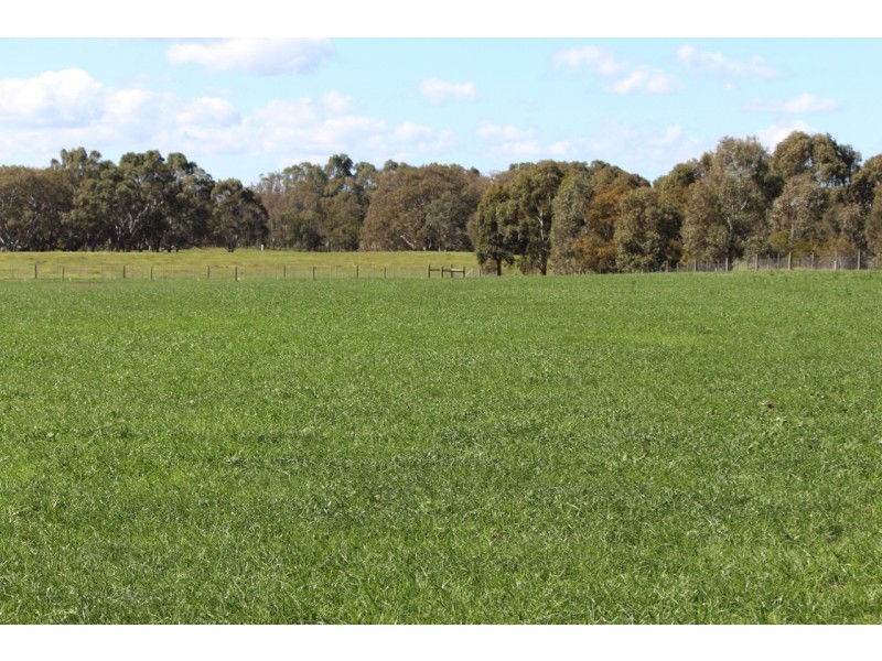 Lot 88 & 90A,  Saleyard Road, Inverleigh VIC 3321