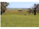 Pittong-Snake Valley Road, Pittong VIC 3360