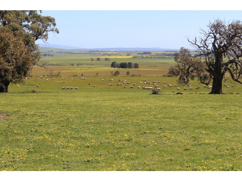 Pittong-Snake Valley Road, Pittong VIC 3360
