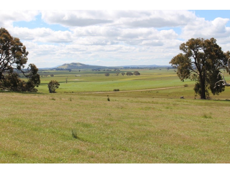 Pittong-Snake Valley Road, Pittong VIC 3360